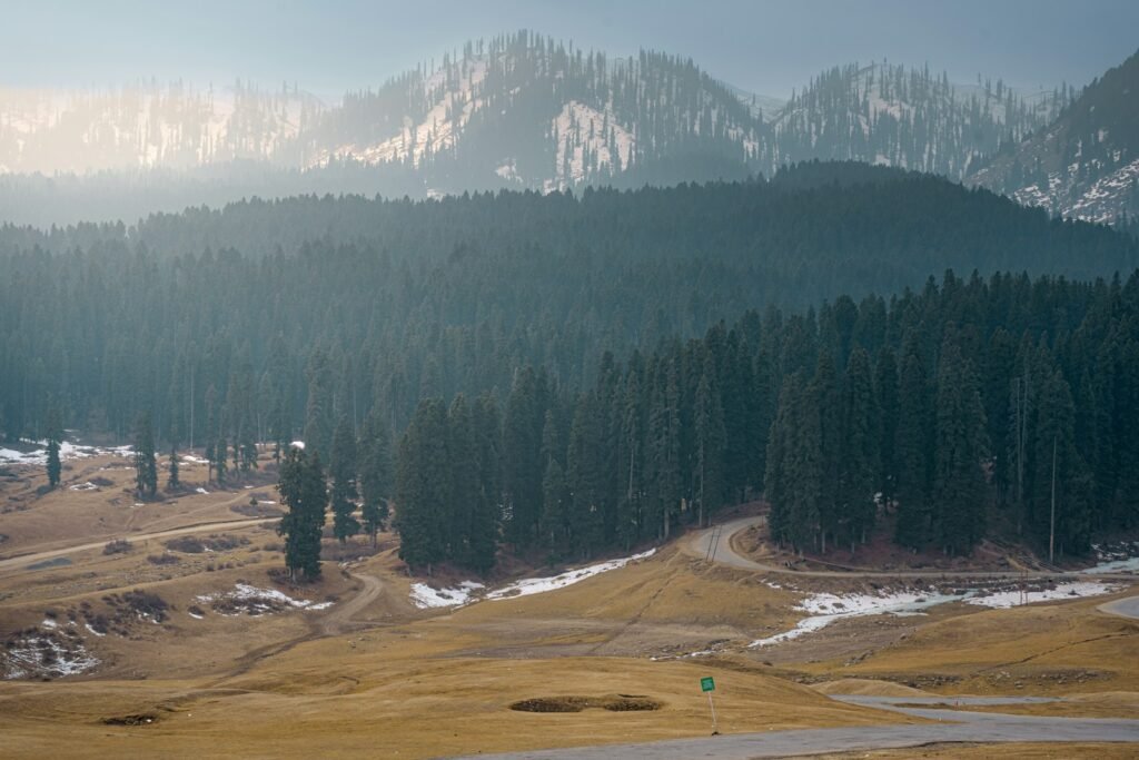 a road in the middle of a field with a mountain in the background
